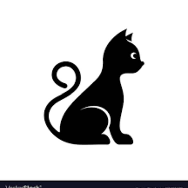 Foto de perfil de merlin
