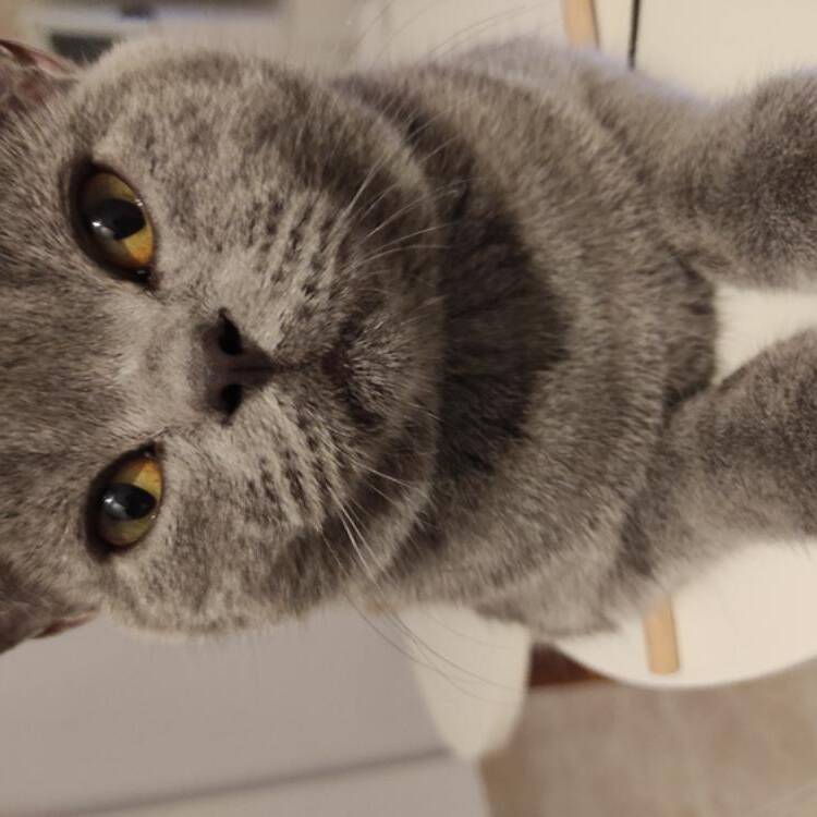 Foto de perfil de Marily