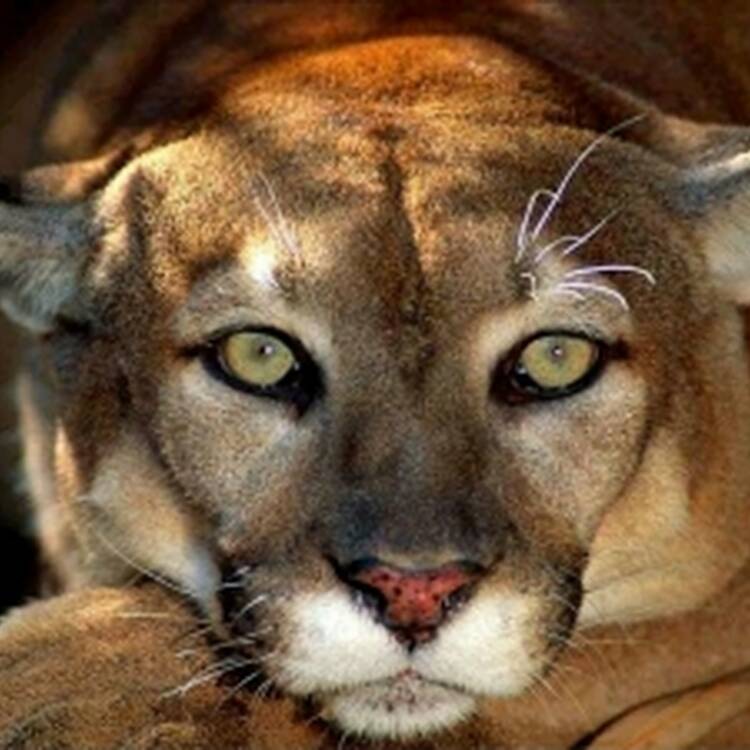 Foto de perfil de rober