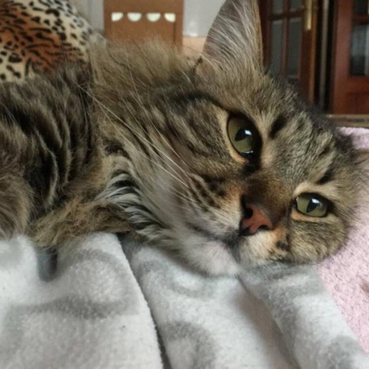 Foto de perfil de Laura