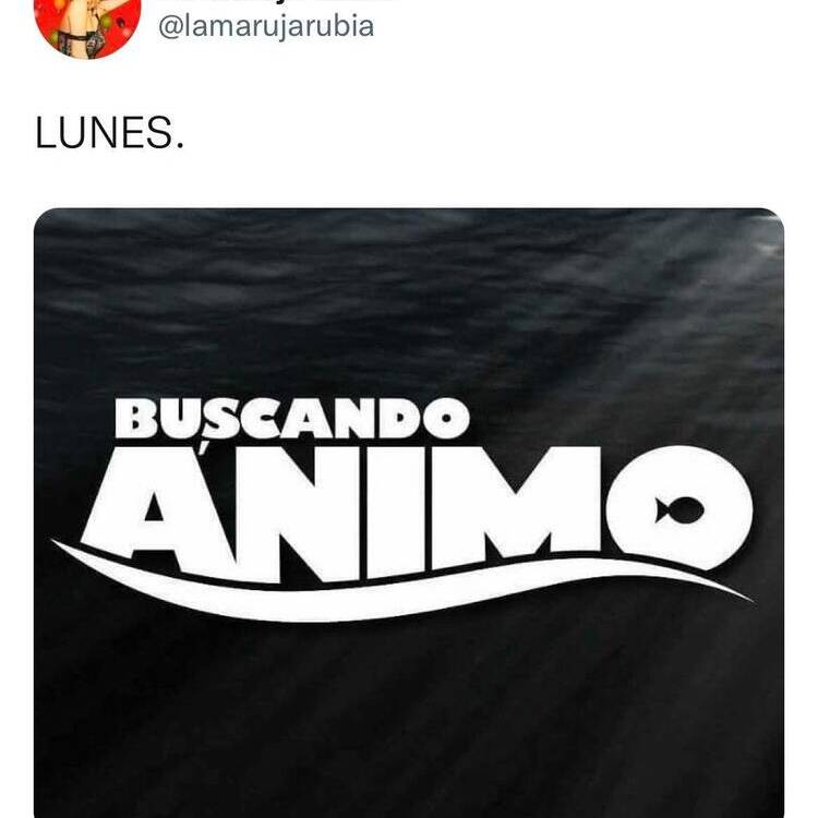 Foto de perfil de alex