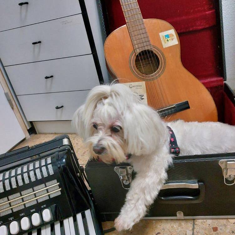 Foto de perfil de Beatriz