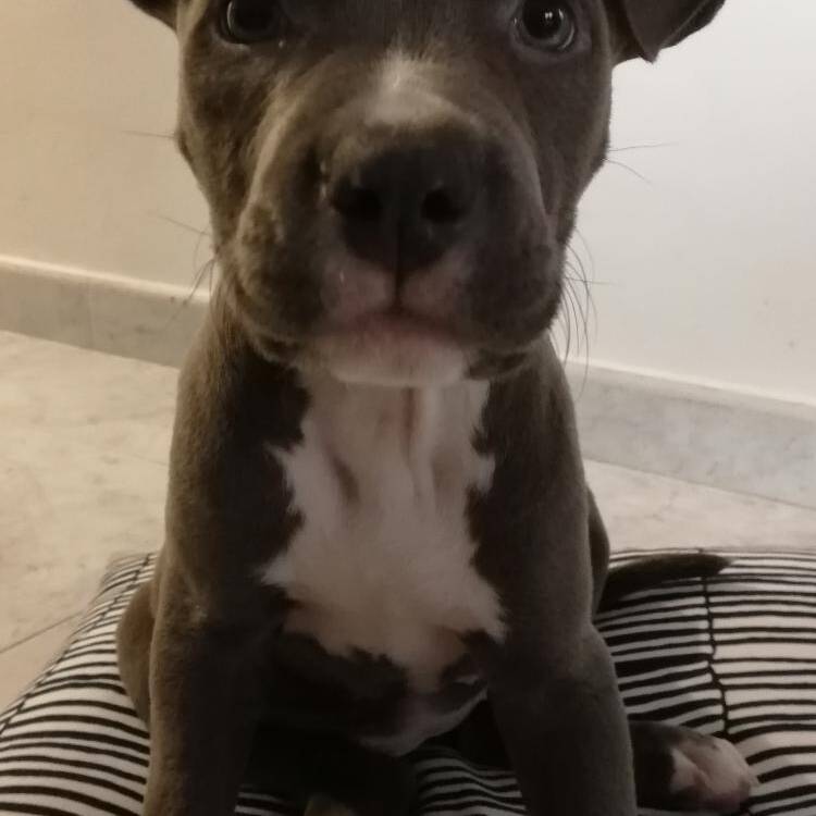 Foto de perfil de Aleix
