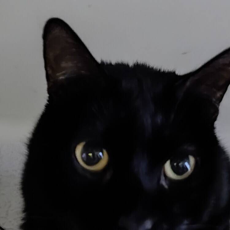 Foto de perfil de Francisco