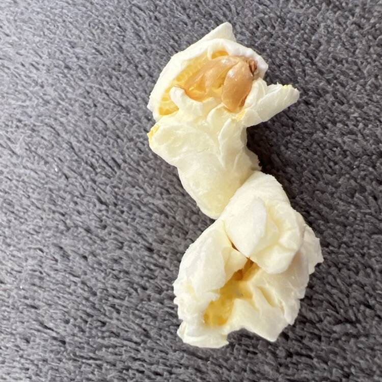Foto de perfil de An