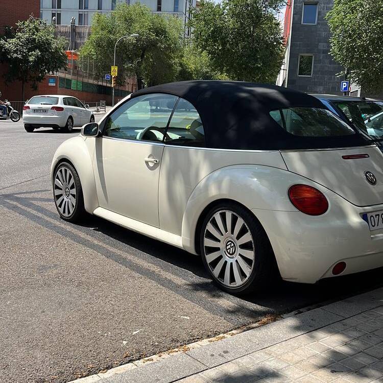Foto de perfil de Pilar
