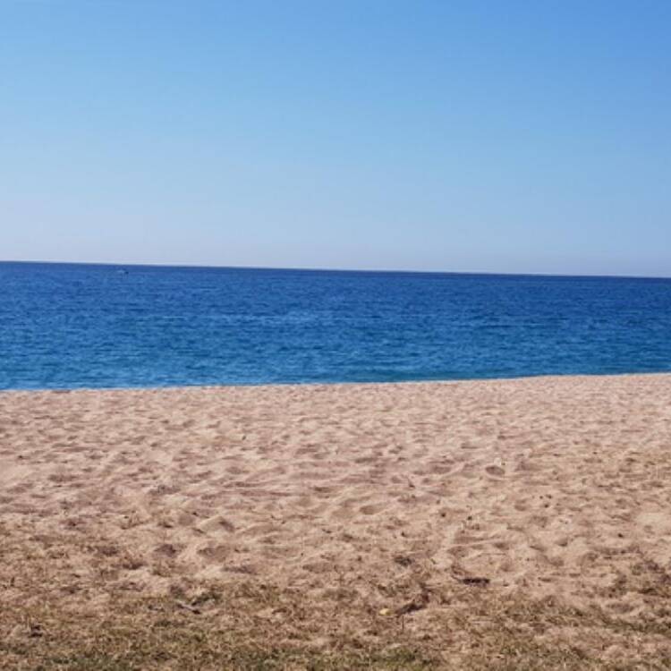 Foto de perfil de Ana maria