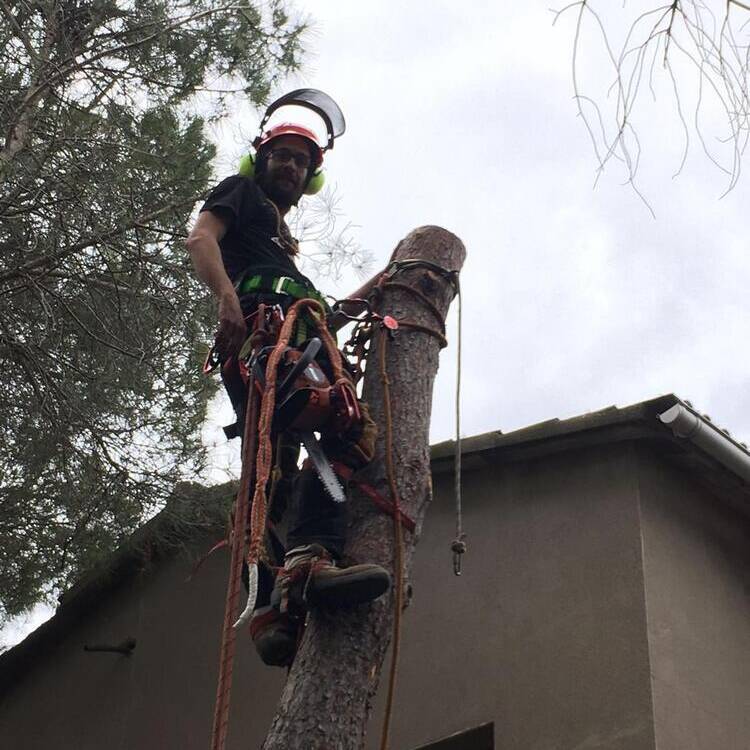 Foto de perfil de adria