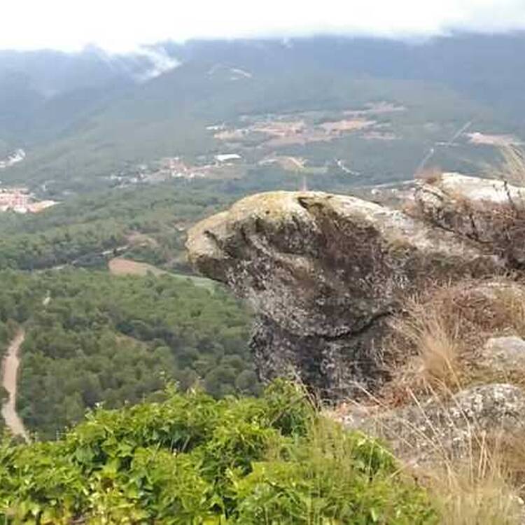 Foto de perfil de Alma