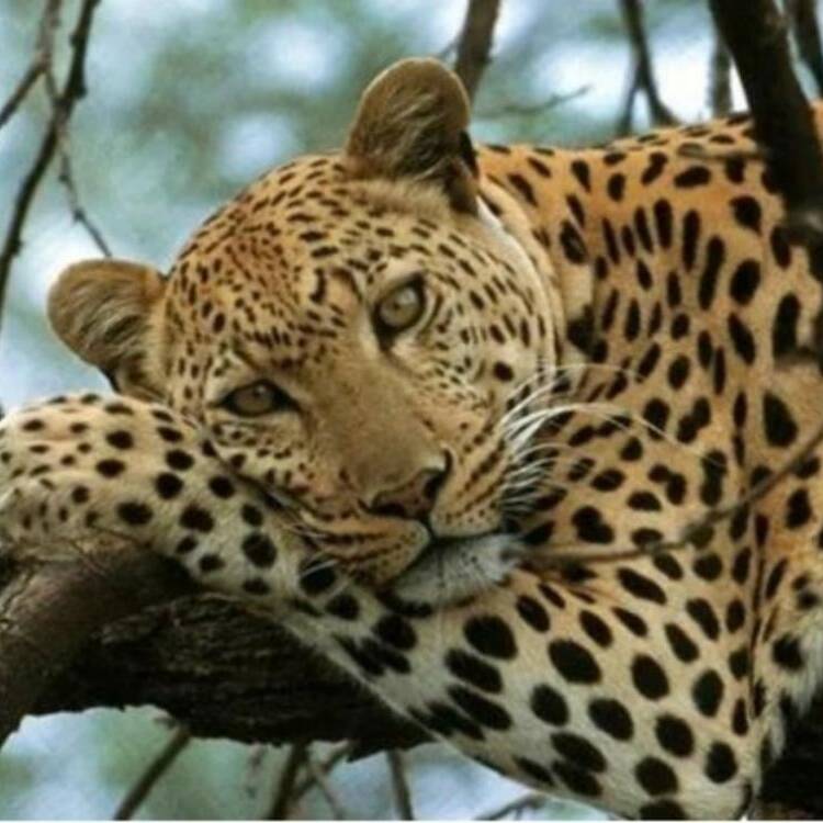 Foto de perfil de Arantxa