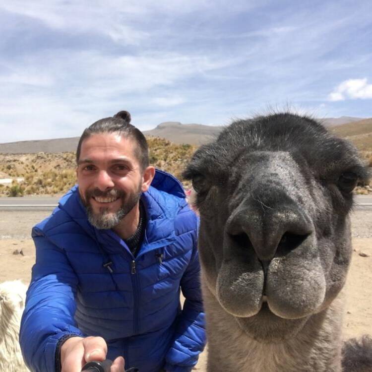 Foto de perfil de Manuel Cano