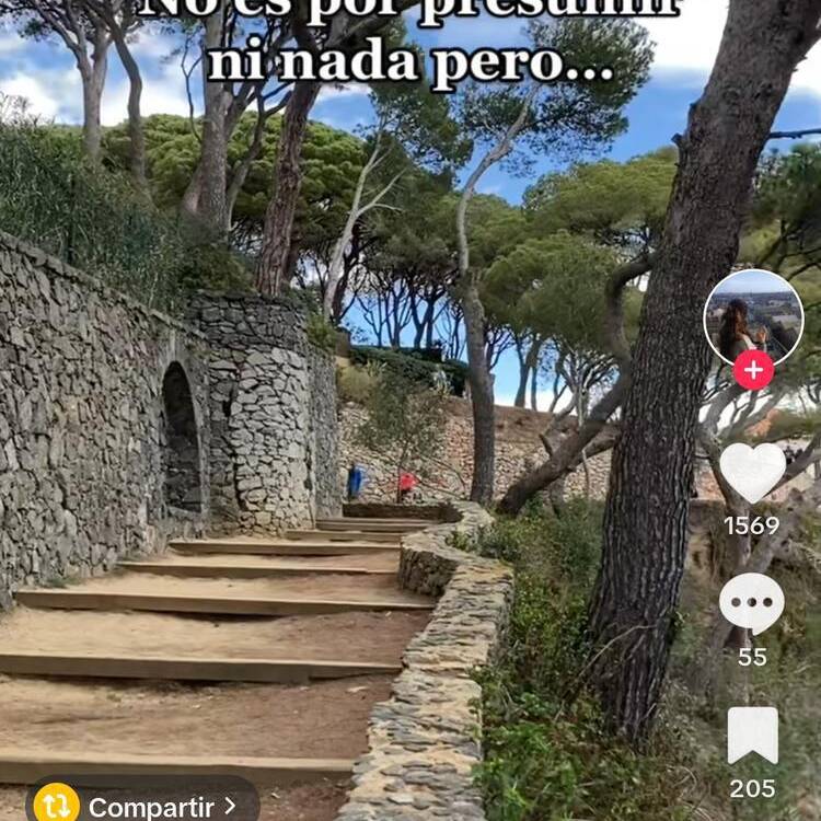 Foto de perfil de Dani