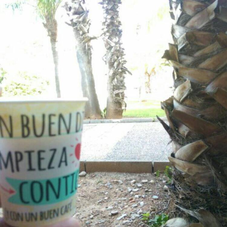 Foto de perfil de antoni