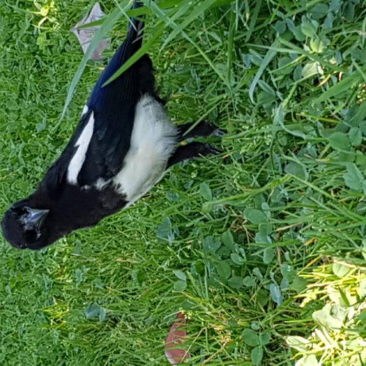 Foto de perfil de Manuel