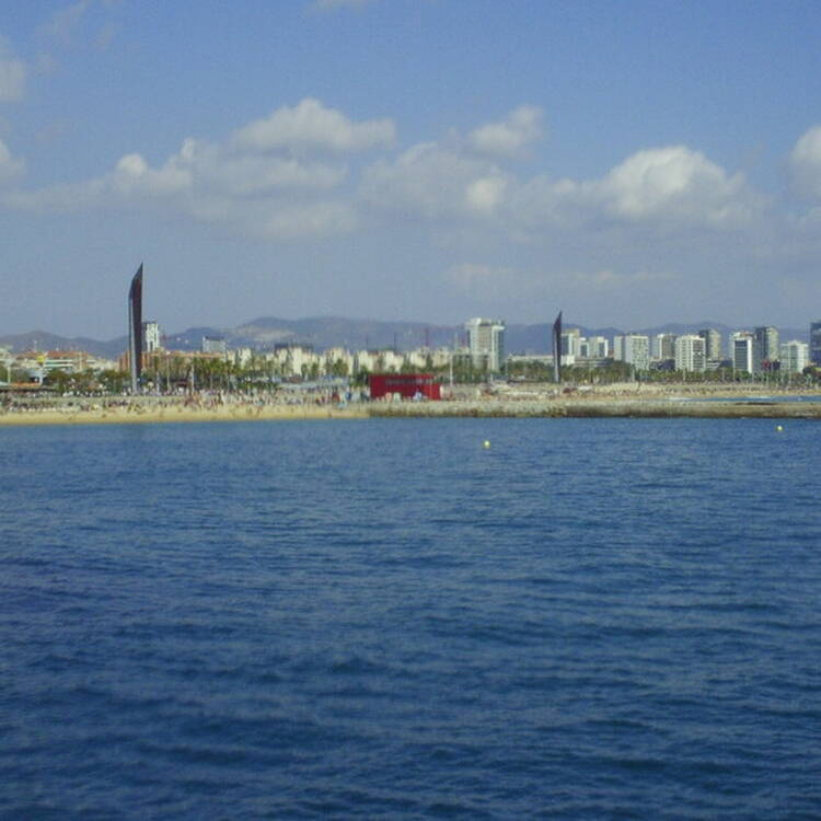 Foto de perfil de Mireia