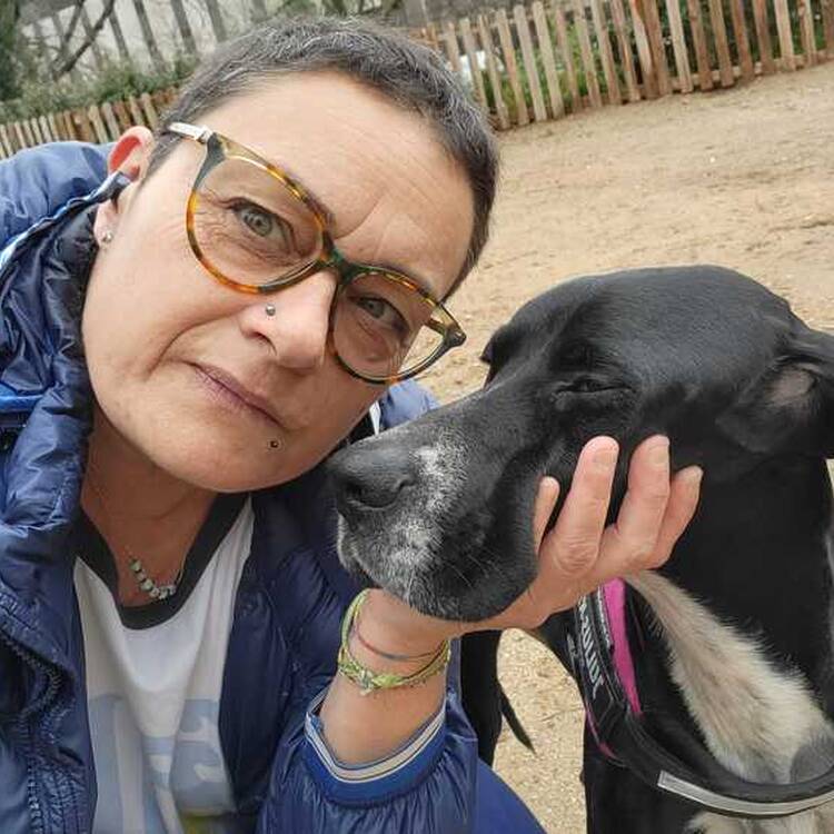 Foto de perfil de Monica