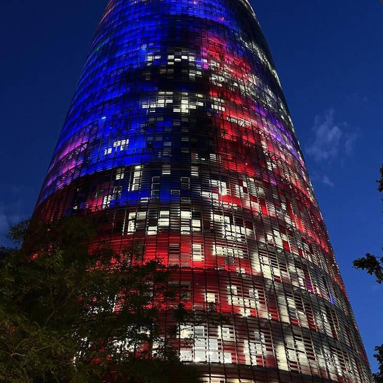 Foto de perfil de Pedro