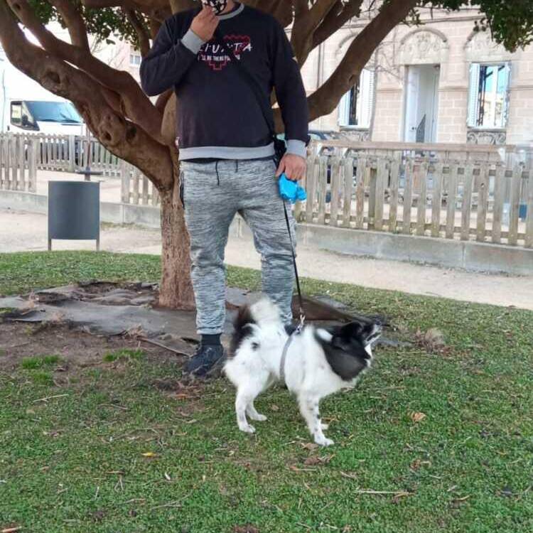 Foto de perfil de Ismael
