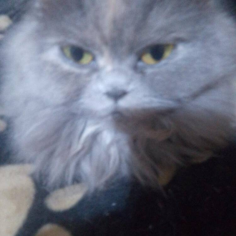 Foto de perfil de nuria