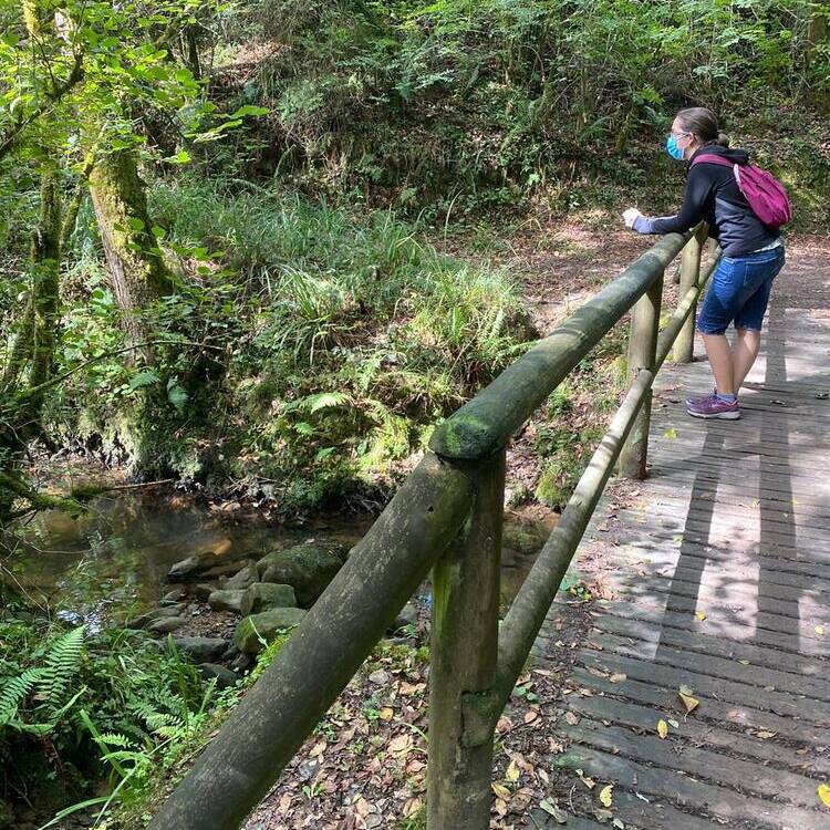 Foto de perfil de Laura