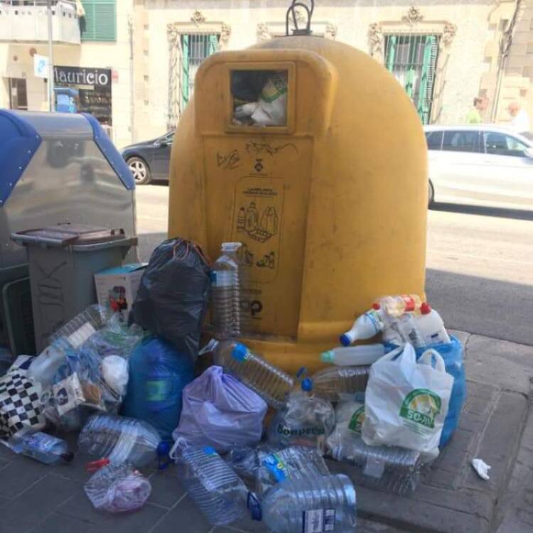Foto de perfil de Sandro