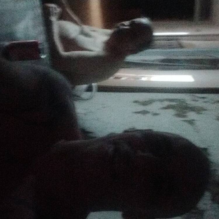 Foto de perfil de Javier