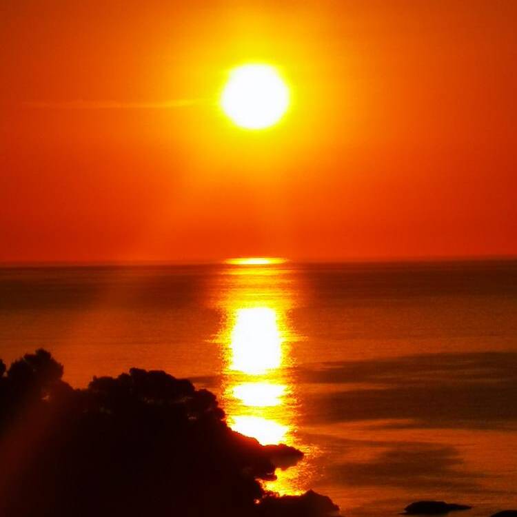 Foto de perfil de Mar