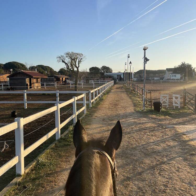 Foto de perfil de Esther