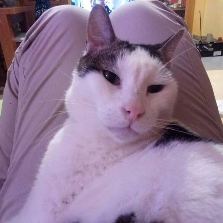 Foto de perfil de Carmen
