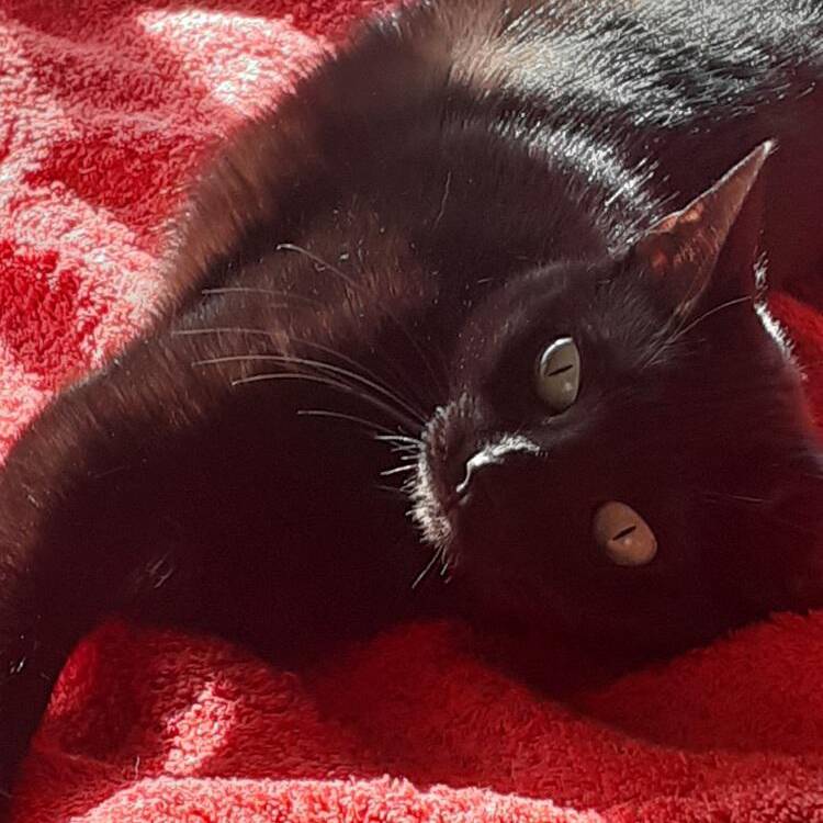 Foto de perfil de Paqui
