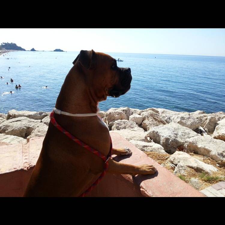 Foto de perfil