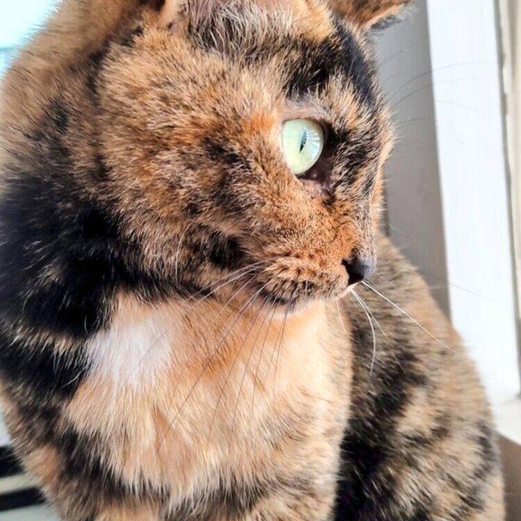 Foto de perfil de Andrea