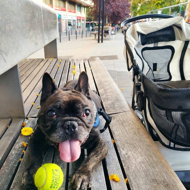 Foto de perfil de Albert