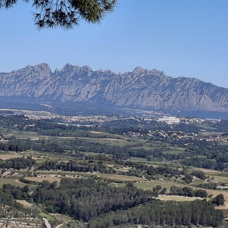 Foto de perfil de Maribel