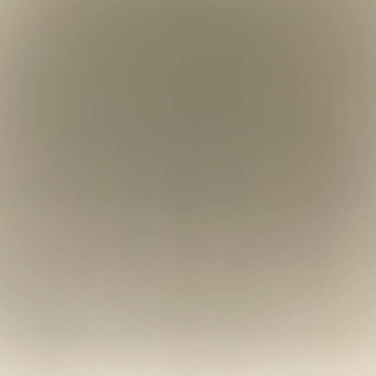 Foto de perfil de Francisco