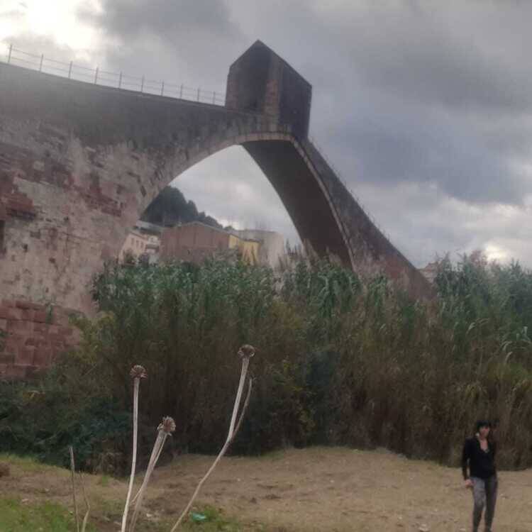 Foto de perfil de 185 CM
