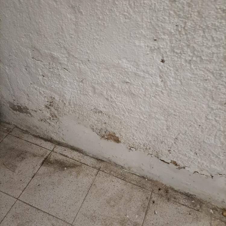 Foto de perfil de C