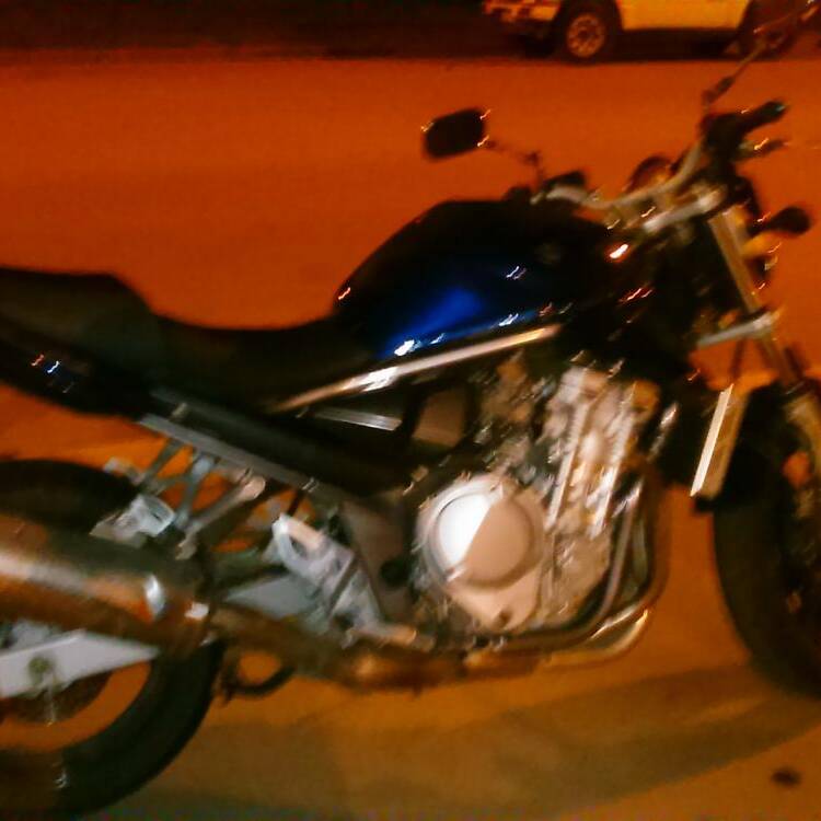 Foto de perfil de David Camino Renard
