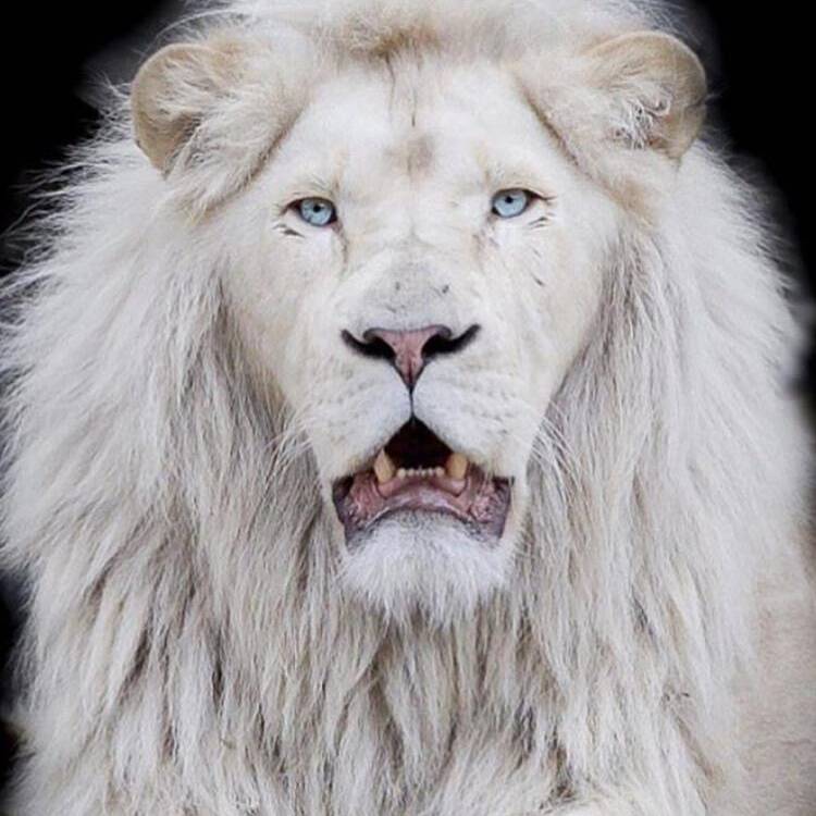 Foto de perfil de George
