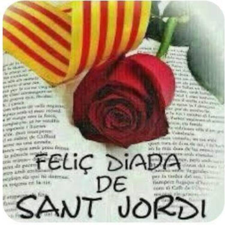Foto de perfil de jordi roca