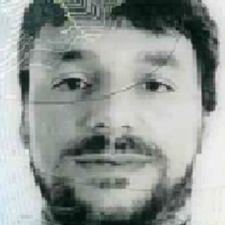 Foto de perfil de Raul