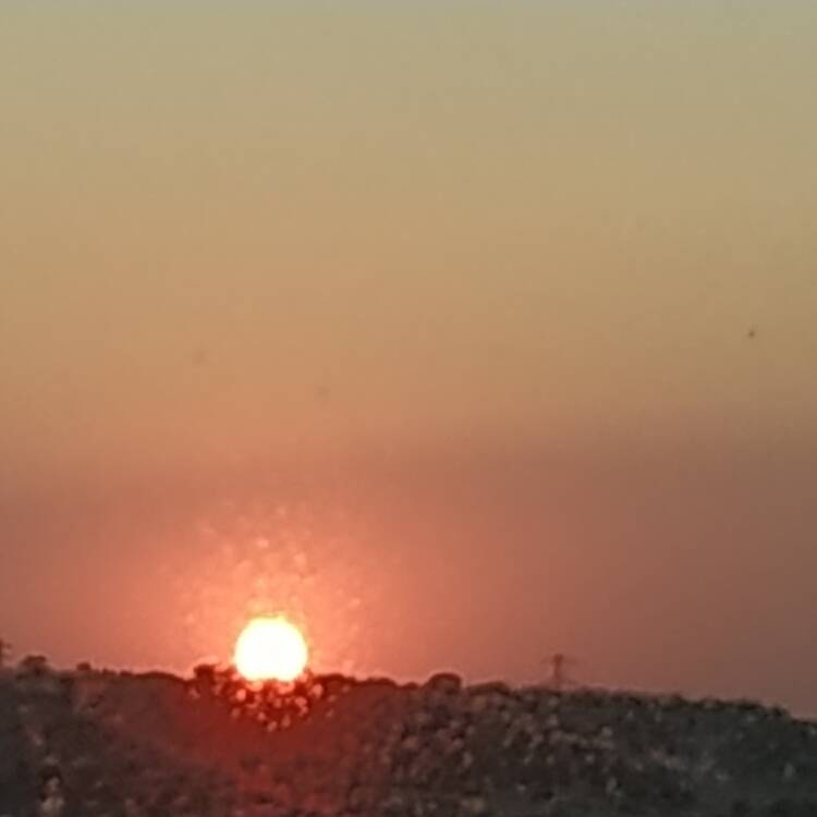 Foto de perfil de Nuria