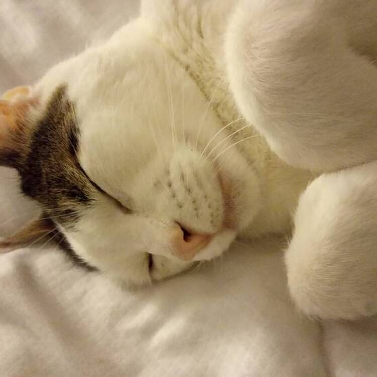 Foto de perfil de Nuria