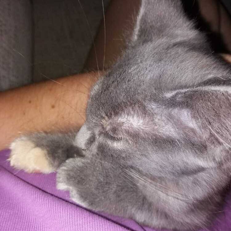 Foto de perfil de Adriana