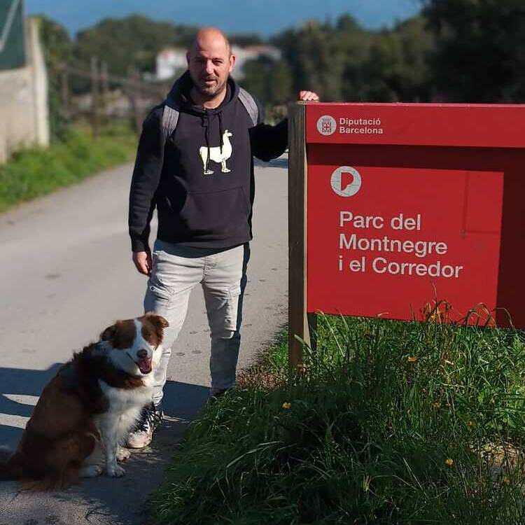 Foto de perfil de David