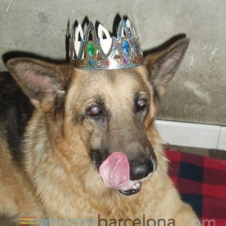 Foto de perfil de pirulacho jose