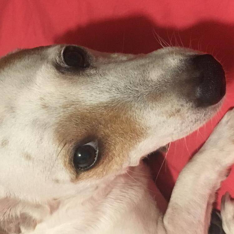 Foto de perfil de MARIA