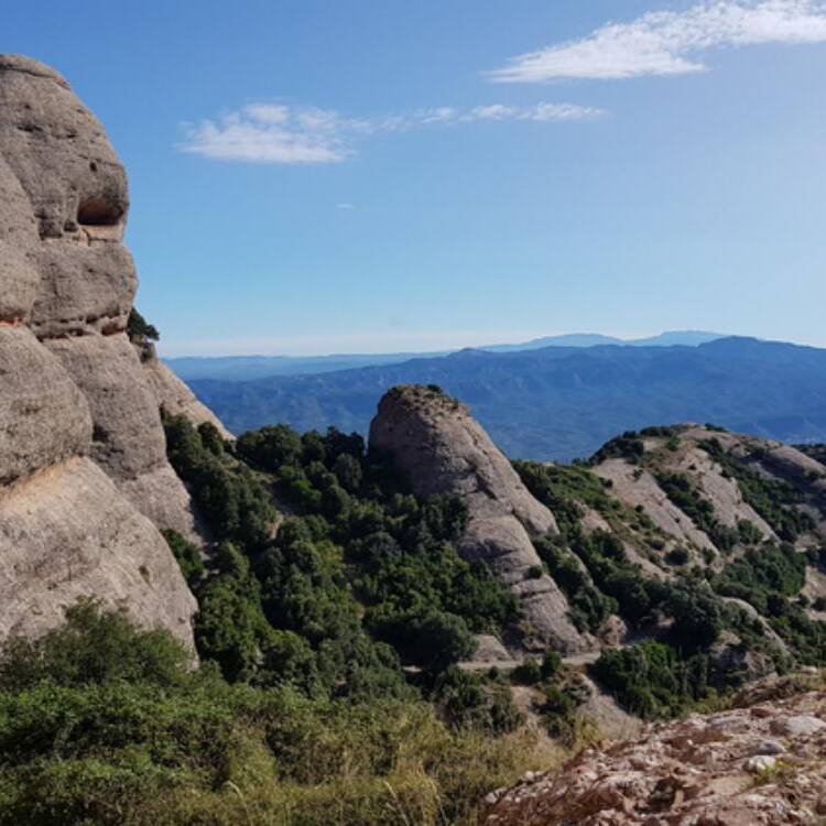 Foto de perfil de Raquel