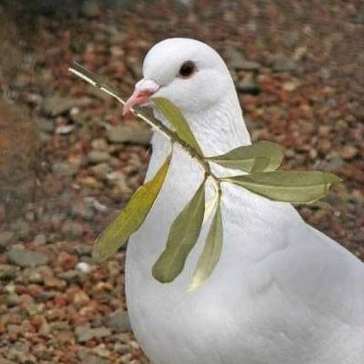 Foto de perfil de Cristina