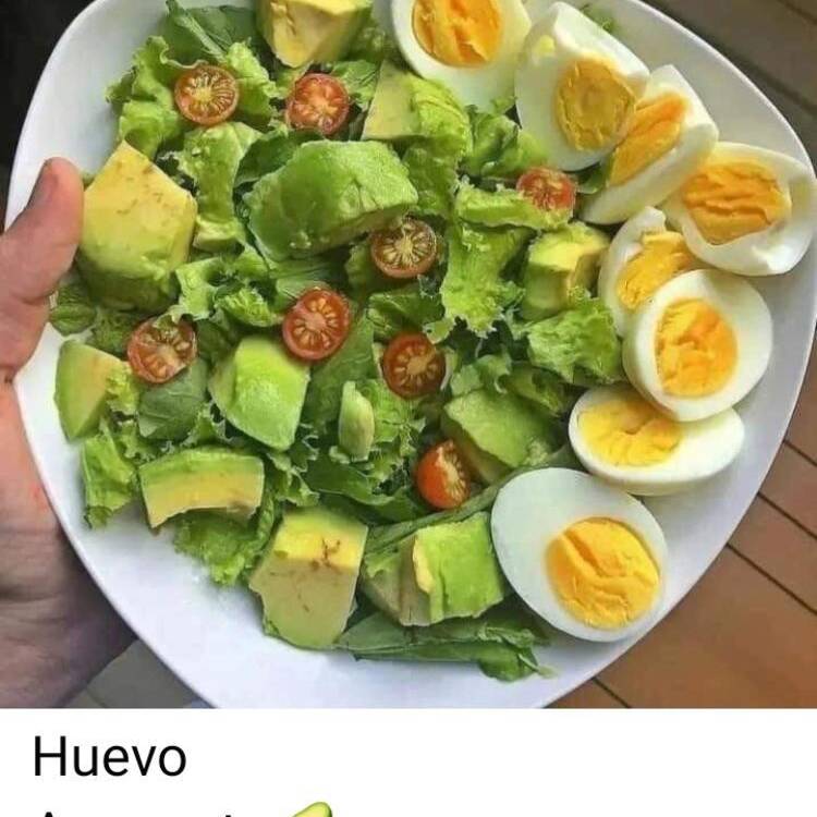 Foto de perfil de Rous